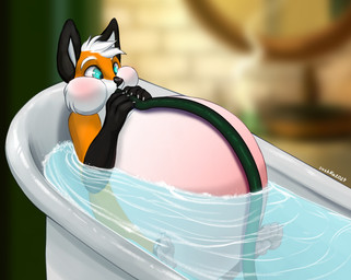 anthro bath bathing bathroom bathtub belly belly_expansion belly_inflation big_belly black_body black_fur blue_eyes expansion fur hair hose hose_inflation imminent_popping inflation liquid_inflation male orange_body orange_fur red_belly self_inflation solo water_inflation white_body white_fur white_hair sushi-s canid canine fox mammal red_fox true_fox hi_res