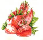 ambiguous_gender camouflaged claws feral food fruit green_eyes horn membrane_(anatomy) membranous_wings plant red_body red_scales scales simple_background solo strawberry tail white_background white_body white_scales wings heather_bruton mythology dragon food_creature mimic_dragon mythological_creature mythological_scalie scalie 2019