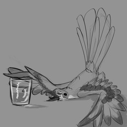 alcohol beak beverage blush drunk feathered_wings feathers feral liquor lying nude open_mouth simple_background smile solo substance_intoxication tail tail_feathers tongue tongue_out wings phinja avian bird 1:1 2018 absurd_res digital_media_(artwork) hi_res monochrome