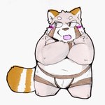 anthro belly blush bulge clothing kemono male navel overweight overweight_male solo underwear snow_utamaru ailurid mammal red_panda 1:1 2021 hi_res