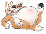 anthro arm_support belly belly_blush beverage big_belly bloated blush body_blush fur holding_beverage holding_object male nude obese obese_anthro obese_male overweight overweight_anthro overweight_male raised_leg reclining simple_background solo tan_body tan_fur teeth tongue tongue_out white_background technocaster canid canine canis domestic_dog herding_dog mammal pastoral_dog welsh_corgi
