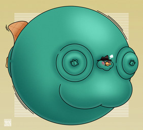 4_fingers air_ballooning air_inflation angry anthro beak blush clothing fingers hat hat_only headgear headgear_only headwear headwear_only hyper hyper_inflation inflation male moobs mostly_nude orange_beak simple_background solo tan_background teal_body balloonedbird disney phineas_and_ferb perry_the_platypus mammal monotreme platypus 2026 hi_res