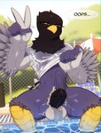 anthro athletic athletic_anthro athletic_male ball_tuft balls beak big_balls big_penis black_body black_feathers bouncing_penis bulge clothed clothing clothing_lift erection feather_hands feathers foot_in_water foreskin front_view genitals humanoid_genitalia humanoid_penis male penis poolside presenting presenting_penis scuted_legs scutes shirt shirt_lift sitting solo swimming_pool tail tail_feathers topwear translucent translucent_clothing tuft wet wet_clothing wet_shirt wet_topwear yellow_eyes drunkrussianman calvin_(skelloinn1) avian bird corvid magpie_(corvid) oscine passerine taiwan_blue_magpie hi_res