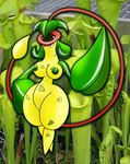 anthro breasts carnivorous_plant elemental_creature female flora_fauna gb_of_bs generation_1_pokemon green_nipples hi_res nintendo nipples plant pokemon pokemon_(species) solo victreebel