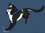black_fur breasts cat chakat feline female fur happy jumping msako paws simple_background splash taur water white_fur
Rating: Questionable
Score: 3
User: msako
Date: January 28, 2013