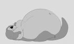 ambiguous_gender belly big_belly black_nose blush claws feral huge_belly hyper hyper_belly looking_at_viewer moobs obese obese_ambiguous obese_feral overweight overweight_ambiguous overweight_feral simple_background solo toe_claws weights white_background heftyotter puppypaws mammal mustelid otter absurd_res black_and_white digital_drawing_(artwork) digital_media_(artwork) hi_res monochrome