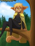 amber_eyes anthro arm_by_side bent_arm bent_legs branch brown_body brown_fur brown_hair cape clothing feet_over_edge female footwear forest fur hair looking_at_viewer on_branch open_mouth open_smile over_edge plant sitting smile solo straight_arm toeless_footwear tree year yellow_eyes erdfurry twokinds madelyn_adelaide basitin mammal 2021 absurd_res dated hi_res signature