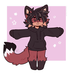 :3 anthro black_hair bottomless chibi clothed clothing hair hoodie hoodie_only leg_markings male markings simple_background socks_(marking) solo standing t-pose topwear topwear_only fleurfurr canid canine fox mammal 2023 hi_res