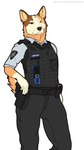 anthro australian bulletproof_vest camera clothing duty_belt electronics female flashlight glock_17 gun hand_on_hip hand_on_weapon handgun looking_at_viewer mature_female pepper_spray pistol pistol_holster police police_badge police_officer police_uniform policewoman radio ranged_weapon short_sleeved_shirt solo tactical_belt tactical_gear tactical_pants uniform walkie-talkie weapon rebeldragon101 bluey_(series) chilli_heeler australian_cattle_dog canid canine canis cattledog domestic_dog herding_dog mammal pastoral_dog 9:16 hi_res