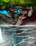 anthro black_body black_fur black_hair black_horn blue_eyes bulge cheek_tuft chest_tuft clothed clothing duo facial_tuft fangs fur grey_body grey_fur grey_horn grin hair horn male membrane_(anatomy) membranous_wings muscular muscular_anthro muscular_male nipples outside partially_submerged red_body red_eyes red_fur red_hair red_wings rock short_hair sitting smile teeth text topless tuft wet wet_body wet_fur wings crazydrak mythology rath_(wolfwingx) takeshi_(wolfwingx) canid canine dragon mammal mythological_creature mythological_scalie scalie 2016 artist_name dated hi_res