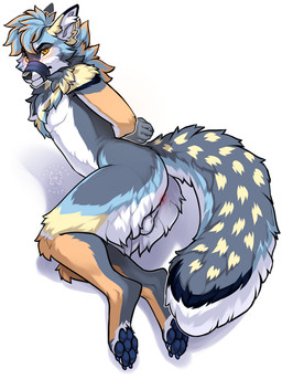 anthro anus balls bdsm black_claws black_nose black_pawpads bondage bound claws fur genitals grey_body grey_fur grey_tail male muzzle_(object) muzzled pawpads solo tail white_balls yellow_eyes butteredshep tavi_(tavi_yote) canid canine canis coyote mammal hi_res