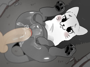 3_toes abdominal_bulge anus bedsheet_ghost bestiality blush bodily_fluids clitoris duo feet female female_feral feral feral_penetrated from_front_position fur genital_fluids genitals grey_body grey_fur human_on_feral human_penetrating human_penetrating_feral interspecies legs_up lying male male/female on_back orange_body pawpads paws penetration penis sex smile tail toes translucent translucent_penis vaginal vaginal_fluids vaginal_penetration whiskers white_body cervikalova ectokitty_(fatalafterdark) domestic_cat felid feline felis ghost human mammal spirit 4:3 hi_res