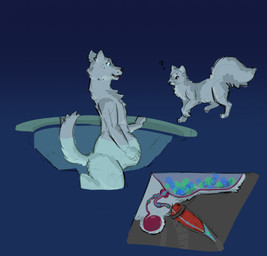 andromorph balls_inflation bladder_inflation blue_eyes curious duo feral fur grey_body grey_fur hot_tub inflation internal intersex water water_jet boilingbismuth orbeez canid canine canis fox mammal wolf