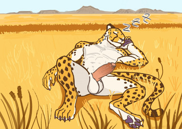 abs anthro balls claws erection foreskin genitals grass male markings muscular muscular_anthro muscular_male nude onomatopoeia pawpads paws penis plant presenting presenting_penis savanna sleeping solo sound_effects spots spotted_markings tail text vowelless vowelless_sound_effect zzz anders-glyc cheetah felid feline mammal hi_res