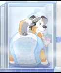 anthro big_diaper clean_diaper clothed clothing diaper diaper_only female fur hair shower smile solo tail topless water wearing_diaper wet jupiters bluey_(series) calypso_(bluey) canid canine canis domestic_dog mammal digital_media_(artwork) hi_res