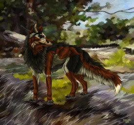 ambiguous_feral ambiguous_gender black_body black_fur black_nose brown_body brown_fur feral fur grass green_eyes mouth_closed multicolored_body multicolored_fur outside plant solo text tree water white_body white_fur msdeadsoul canid canine mammal 2024 artist_name dated hi_res