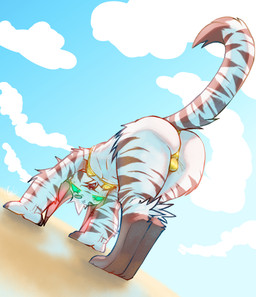 all_fours anthro balls_outline big_butt bikini biped black_markings black_stripes bulge butt cheek_tuft clothed clothing crossdressing day detailed_bulge dipstick_tail eyebrows facial_tuft femboy fingerless_(marking) fur genital_outline glowing glowing_eyes gold_bikini head_tuft looking_at_viewer looking_back looking_back_at_viewer male markings nipple_outline open_mouth outside presenting presenting_hindquarters raised_tail rear_view red_nose red_sclera sharp_teeth solo striped_body striped_fur stripes swimwear tail tail_markings teeth text thick_thighs tongue tuft two-piece_swimsuit white_body white_fur wide_hips galo golden_week galo_(character) domestic_cat felid feline felis mammal 2026 hi_res