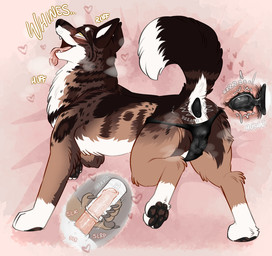 animal_genitalia animal_vulva anthro anthro_on_feral anus bestiality blush bodily_fluids breath buttplug buttplug_vibrator camel_toe canine_genitalia canine_vulva clothed clothed_feral clothing controller duo erection eye_roll female female_feral feral genital_fluids genitals humanoid_genitalia humanoid_penis hybrid_genitalia hybrid_penis internal interspecies long_distance_sex looking_pleasured male male/female masturbation medial_ring medial_ringed_humanoid_penis medial_ringed_hybrid_penis mottled mottled_pawpads open_mouth panties panting pawpads penetrable_sex_toy penetration penile penile_masturbation penile_penetration penis plug_(sex_toy) remote_control remote_controlled_vibrator sex_toy teledildonics tongue tongue_out underwear vaginal vaginal_fluids vaginal_masturbation vaginal_penetration vibrator vulva whining pariahpuppy lovense lovense_hush lovense_max_2 juniper_(fishymishy) mishka_(fishymishy) bear canid canine canis deer hybrid mammal wolf hi_res