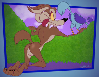 3_toes 4_fingers anthro arm_tuft athletic back_tuft being_watched belly bent_down bent_legs biped black_eyes black_nose black_toe_claws brown_body brown_fur bubble_butt butt chest_tuft claws cloud cloudy_sky duo ears_back eyebrows feathered_wings feathers feet fingers fur glistening glistening_butt head_feathers head_tuft hiding hiding_behind_bush humanoid_feet humanoid_hands humanoid_heel hungry knee_tuft kneeling leg_tuft licking licking_lips licking_own_lips looking_at_another male mischievous mischievous_smile multicolored_body multicolored_feathers multicolored_fur nude orange_legs outdoor_nudity outside paws pivoted_ears plant plantigrade pose purple_body purple_feathers purple_sky rear_view ribs shoulder_tuft shrub skinny sky small_waist sneaking soles spine spying tail tail_feathers tan_belly tan_body tan_eyebrows tan_fur toe_claws toes tongue tongue_out toony tuft two_tone_body two_tone_feathers two_tone_fur wasp_waist wide_hips wings yellow_sclera gavanzude looney_tunes warner_brothers road_runner_(looney_tunes) wile_e._coyote avian bird canid canine canis coyote cuculiform greater_roadrunner mammal new_world_ground_cuckoo roadrunner 2025 alternate_version_at_paywall colored digital_drawing_(artwork) digital_media_(artwork) flat_colors hi_res pinup signature
