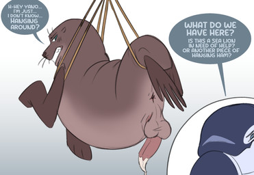 ambiguous_gender anus balls bdsm blush blush_lines bodily_fluids bondage bound brown_body clenched_teeth cum cum_drip cum_on_penis dialogue dripping duo embarrassed feral flippers genital_fluids genitals leaking_cum looking_back male male/ambiguous male_focus mostly_offscreen_character penis predator/prey questionable_consent restraints rope rope_bondage saggy_balls simple_background smile smirk smirking_pred speech_bubble tapering_penis teasing teeth whiskers dolphinproject yano_(dolphinproject) cetacean dolphin mammal marine oceanic_dolphin orca pinniped sea_lion toothed_whale 2026 absurd_res colored_sketch digital_drawing_(artwork) digital_media_(artwork) hi_res sketch female_(lore)