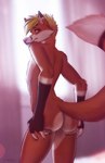 anthro butt fur hair inside looking_at_viewer looking_back male nude rear_view smile solo standing smiju canid canine fox mammal digital_media_(artwork) shaded