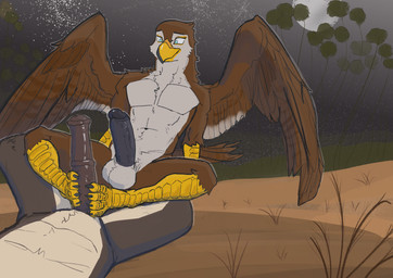 animal_genitalia animal_penis anthro balls beak black_penis claws duo equine_genitalia equine_penis erection feathered_wings feathers feet foot_fetish foot_play footjob genitals humanoid_genitalia humanoid_penis male male/male medial_ring moon night penis sex talonjob talons toe_claws toes two-footed_footjob wings anders-glyc egyptian_mythology middle_eastern_mythology mythology horus_(smite) set_(deity) deity equid mammal absurd_res hi_res