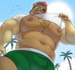 anthro backwards_baseball_cap backwards_hat barazoku baseball_cap big_pecs bodily_fluids body_hair bottomwear brown_body brown_fur bulge chest_hair clothed clothing clothing_lift day eyes_closed fur hat headgear headwear huge_pecs low-angle_view male muscular muscular_anthro muscular_male navel nipples outside pecs shirt shirt_lift shorts sky smile solo sun sweat sweaty_pecs teeth topwear deliverymutt krispy_(character) ambient_bird bear mammal hi_res