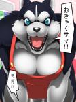 anthro apron apron_only big_breasts black_body black_fur blue_eyes breasts cleavage clothed clothing female fur looking_at_viewer mostly_nude open_mouth solo store text tongue white_body white_fur moroq canid canine canis domestic_dog husky mammal nordic_sled_dog spitz 3:4 japanese_text translated