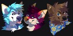 anthro black_background black_nose blep blonde_hair blue_body blue_collar blue_ears blue_eyes blue_fur blue_hair blue_kerchief blue_neckerchief blue_nose brown_body brown_ears brown_fur brown_hair brown_inner_ear brown_inner_ear_fluff cheek_tuft collar facial_tuft fangs front_view fur glistening glistening_eyes hair heterochromia inner_ear_fluff kerchief male multicolored_hair multicolored_kerchief multicolored_neckerchief neck_tuft neckerchief neckwear one_eye_closed orange_body orange_ears orange_eyes orange_fur orange_nose pink_tongue purple_body purple_ears purple_fur purple_hair simple_background smile solo tan_body tan_fur tan_inner_ear tan_inner_ear_fluff tan_teeth teeth tongue tongue_out tuft two_tone_hair two_tone_kerchief two_tone_neckerchief white_body white_fur white_inner_ear white_inner_ear_fluff yellow_body yellow_ears yellow_fur yellow_kerchief yellow_neckerchief princelykaden kovie_(koviepup) canid canine canis domestic_dog mammal headshot_portrait multiple_images portrait