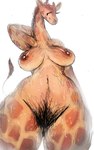 anthro bodily_fluids body_hair breasts eyelashes female hand_behind_head happy_trail long_eyelashes long_neck low-angle_view nipples nude nude_female pubes solo spots sweat ikiki giraffe giraffid mammal 2024 hi_res portrait three-quarter_portrait