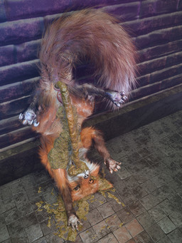 against_surface against_wall anus black_nose bodily_fluids brick brick_wall claws feces feces_in_mouth feces_on_body female feral floor fur genital_fluids genitals open_mouth orange_body orange_eyes orange_fur pawpads pink_anus pink_vulva solo tail teeth tile tile_floor tongue upside_down urine vulva wall_(structure) whiskers kenresek canid canine fox mammal 3:4 3d_(artwork) absurd_res digital_media_(artwork) hi_res