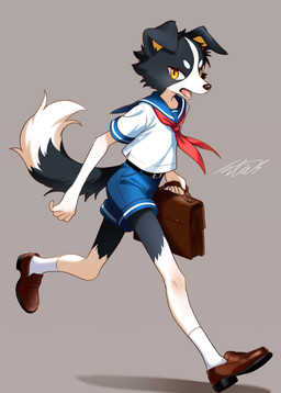 amber_eyes anthro black_body black_fur black_nose bottomwear briefcase clothed clothing floppy_ears fluffy fluffy_tail folded_ears footwear fur kemono kerchief loafers male red_kerchief sailor_uniform school_uniform shorts simple_background slim slim_anthro slim_male socks solo tail uniform white_body white_fur young young_anthro young_male netiel border_collie canid canine canis collie domestic_dog herding_dog mammal pastoral_dog sheepdog 2026 hi_res