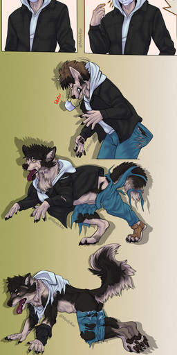5_fingers about all_fours anthro athletic athletic_anthro athletic_human athletic_male barefoot biped black_body black_claws black_fur black_lips black_nose black_pawpads bottomwear brown_hair cheek_tuft claws clenched_teeth close-up clothing countershading cutaway denim denim_bottomwear denim_clothing destroyed_clothing digitigrade ears_back eye_color_transformation eyes_closed facial_tuft feet finger_claws fingers fluffy fluffy_tail footwear fur fur_growth gloves_(marking) gradient_background green_background green_eyes grey_body grey_fur growth hair hair_to_fur head_tuft hoodie human_to_anthro imminent_transformation inner_ear_fluff jacket jeans leg_markings lips male markings mask mid_transformation multicolored_body multicolored_fur neck_tuft open_mouth pained_expression pants pawpads paws pivoted_ears plantigrade_to_digitigrade shocked shoes simple_background snout snout_growth socks_(marking) solo sound_effects species_transformation standing surprised tail tail_bulge tail_growth tailsplosion tearing_clothing teeth text tongue tongue_out topwear torn_bottomwear torn_clothing torn_hoodie torn_jacket torn_jeans torn_pants torn_shoes transformation transformation_sequence tuft yellow_eyes manlykaz canid canine canis human hybrid mammal werecanid werecanine werecreature wolfdog absurd_res artist_name english_text hi_res sequence shaded soft_shading