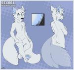 4_toes anthro blue_eyes featureless_crotch feet looking_at_viewer male multi_tail navel solo tail toes muzz secretkitsune_(character) canid canine fox mammal 2014 model_sheet