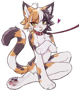 ahoge anthro bangs black_hair black_markings black_nose blush blush_lines cheek_tuft chest_tuft collar facial_tuft female fur hair heart_symbol leash leashed_collar looking_at_viewer markings medium_hair multicolored_body multicolored_fur multicolored_hair nude open_mouth open_smile orange_hair orange_markings pawpads paws red_collar simple_background sitting smile solo tail tuft white_background white_body white_fur white_hair yellow_eyes 3rdperson_iz calico_cat domestic_cat felid feline felis mammal colored digital_drawing_(artwork) digital_media_(artwork) hi_res shaded