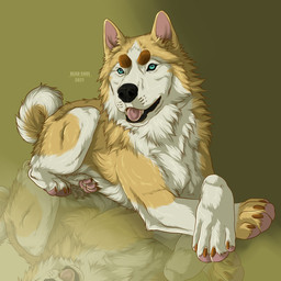 ambiguous_feral ambiguous_gender black_nose blue_eyes brown_claws cheek_tuft claws facial_tuft feral fur looking_at_viewer lying neck_tuft on_front open_mouth pawpads pink_pawpads pink_tongue solo tan_body tan_fur text tongue tongue_out tuft white_body white_fur msdeadsoul canid canine mammal 1:1 2021 artist_name dated hi_res