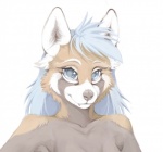 anthro big_eyes blue_eyes clothed clothing female simple_background solo topless white_background foxmode pira ailurid mammal red_panda 2016