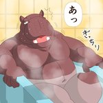 anthro bathing belly bodily_fluids humanoid_hands kemono male navel overweight overweight_anthro overweight_male sitting solo sweat text water raichoclub common_hippopotamus hippopotamid mammal 1:1 2016 japanese_text