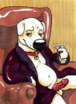 alcohol anthro balls beverage cocktail collar erection food male martini penis slightly_chubby solo bloodhound_(artist) family_guy brian_griffin canid canine canis domestic_dog mammal