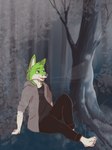 3:4 animated anthro black_nose canid canine clothed clothing digital_media_(artwork) duo fidget_the_fox forest forest_background fox fur ghost ghost_tail green_body green_eyes green_fur hair hi_res kindertei male mammal nature nature_background plant short_playtime smile spirit tree white_body white_fur william_the_blind_fox