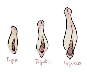 english_text erection herm intersex nintendo penis plain_background pokémon pussy sharona text togekiss togepi togetic video_games white_background
Rating: Explicit
Score: 1
User: forkU
Date: November 13, 2013