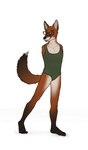 2_missing_limbs ambiguous_gender amputee anthro clothing disability male missing_all_arms missing_arm solo swimwear 213sja canid canine fox mammal hi_res