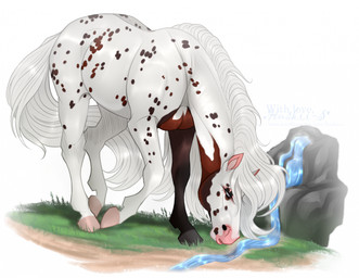 ambiguous_feral ambiguous_gender brown_markings brown_spots eyelashes feral grass grey_hooves hooves mane markings narrowed_eyes open_mouth outside pink_hooves plant side_view solo spots tail water white_body white_mane white_tail huskii-s equid equine horse mammal hi_res