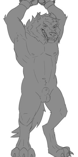 angry animal_genitalia anthro balls bound chain chained cuff_(restraint) genitals handcuffed handcuffs male metal_cuffs nude restraints sheath solo drexotter mythology canid canine canis mammal mythological_canine mythological_creature werecanid werecanine werecreature werewolf wolf absurd_res hi_res monochrome sketch
