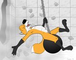 anthro female fur multicolored_body multicolored_fur nipples nude orange_body orange_fur solo wrecking_ball young young_anthro young_female campionl forest_hill tanya_locket canid canine fox mammal