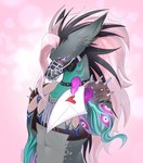 2024 anthro athletic biped black_hair black_nose blush canid canine canis collar dislyte domestic_dog grey_body hair hairless hairless_dog half-length_portrait hi_res inner_ear_fluff liam_(dislyte) lilith_games long_hair love_letter male mammal multicolored_hair muzzle_(object) pink_hair pink_sclera portrait primitive_dog sekiseki_roku shy solo spiked_collar spikes tuft two_tone_hair wire_basket_muzzle xoloitzcuintli