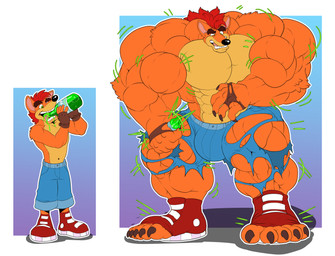 5_toes abs anthro beverage_bottle biceps big_muscles bottle bulge calf_muscles clothing container deltoids eyebrows feet forearm_muscles green_eyes growth huge_muscles hyper hyper_muscles male muscle_growth muscular pecs ripped_shoes soda_bottle solo toes torn_clothing transformation triceps tankdragon xibalbakat activision crash_bandicoot_(series) crash_bandicoot bandicoot mammal marsupial absurd_res hi_res