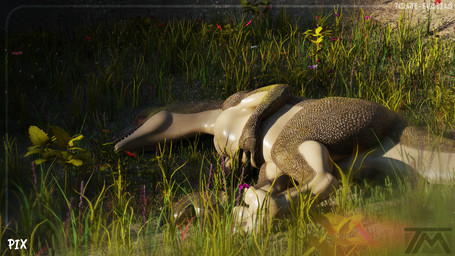 feral lying male on_side outside sleeping solo thatman jinnoaka_(modeler) pix_(thatman_23) dinosaur interceptor prehistoric_species reptile scalie 16:9 3d_(artwork) digital_media_(artwork) hi_res widescreen