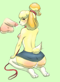 anthro blush bodily_fluids bottomwear breasts brown_eyes clothed clothing collar cum cum_in_mouth cum_in_vagina cum_inside cum_string disembodied_penis duo female female_anthro fur genital_fluids genitals glistening glistening_genitalia hair humanoid_genitalia humanoid_penis knee_highs kneeling leash legwear looking_at_viewer male male/female miniskirt no_underwear open_mouth paws penis simple_background skirt submissive submissive_anthro submissive_female tail tan_body tan_fur tied_hair vaginal_fluids vulva yellow_body yellow_fur velvet_glyph animal_crossing nintendo isabelle_(animal_crossing) canid canine canis domestic_dog human mammal hi_res