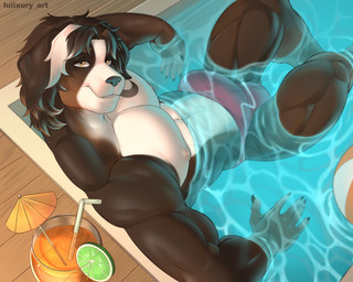 anthro beverage bulge looking_at_viewer male muscular muscular_anthro muscular_male solo swimming_pool swimsuit_only luiixury cres_the_bernese_mountain_dog bernese_mountain_dog canid canine canis domestic_dog mammal molosser mountain_dog swiss_mountain_dog 2023 absurd_res hi_res
